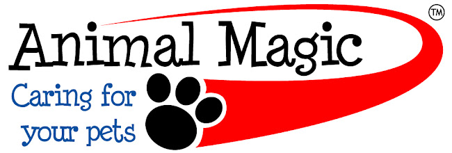 Animal Magic Pet Care & Dog Training - Dog trainer