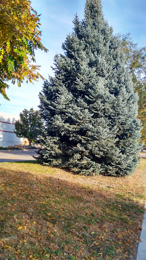 Thrift Store «The Rescue Mission Thrift Store», reviews and photos, 1215 12th Ave S, Nampa, ID 83651, USA