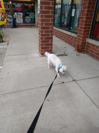 Gym «Snap Fitness», reviews and photos, 1350 East Chicago, Elgin, IL 60120, USA