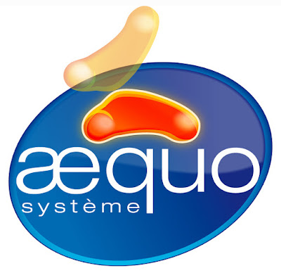 Aequo Système à Saint-Barthélemy-d'Anjou