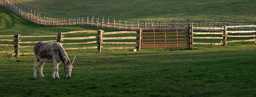 Hearn Veterinary Services image