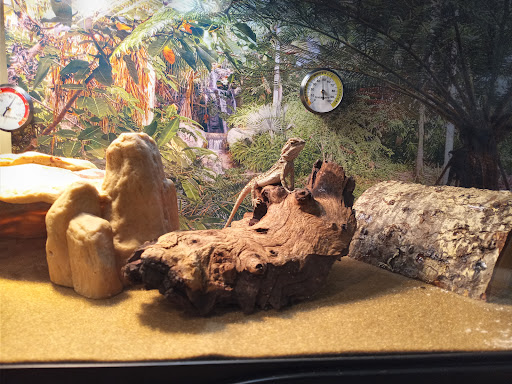 Pet Supply Store «Petco Animal Supplies», reviews and photos, 3430 W State St, Grand Island, NE 68803, USA