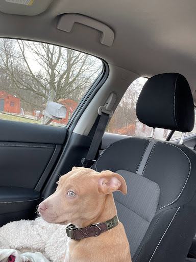 Car Detailing Service «Magic Shine Hand Carwash & Detail shop», reviews and photos, 546 Snyder Ave, Barberton, OH 44203, USA