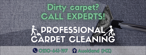 Professional Car&Carpet Cleaning