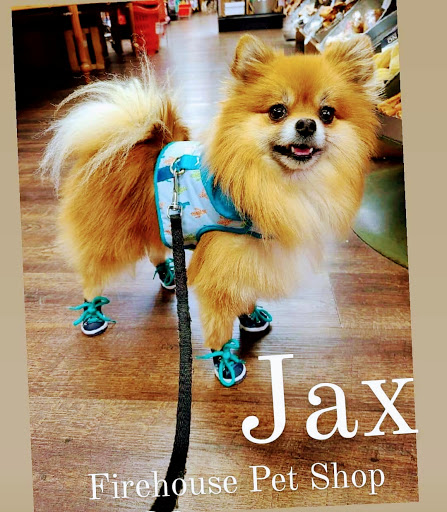 Pet Store «Firehouse Pet Shop & Grooming», reviews and photos, 17 S Wenatchee Ave, Wenatchee, WA 98801, USA