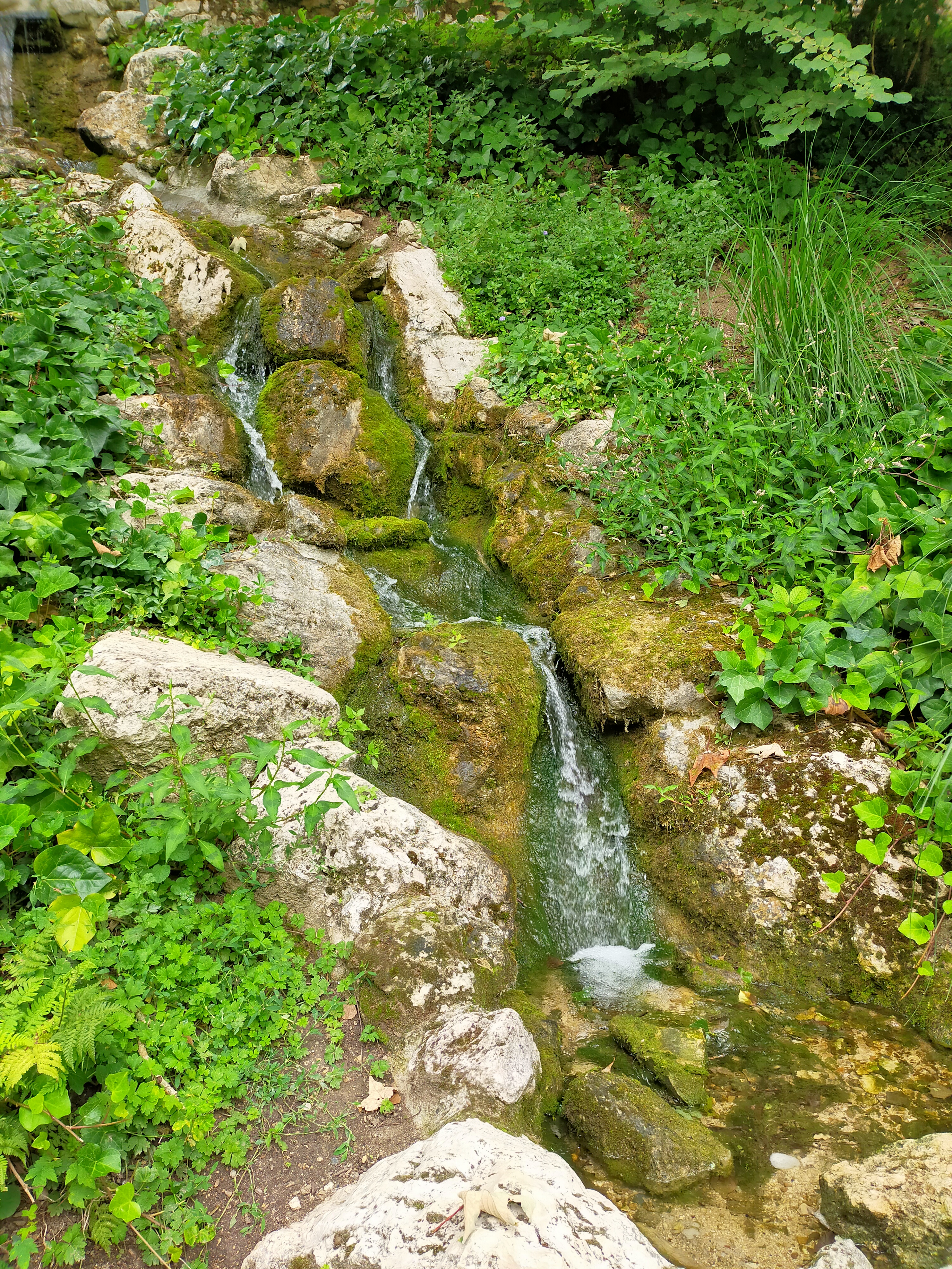 Photo n° 17 de l'avis de Zelebzel. fait le 30/08/2023 à 08:12