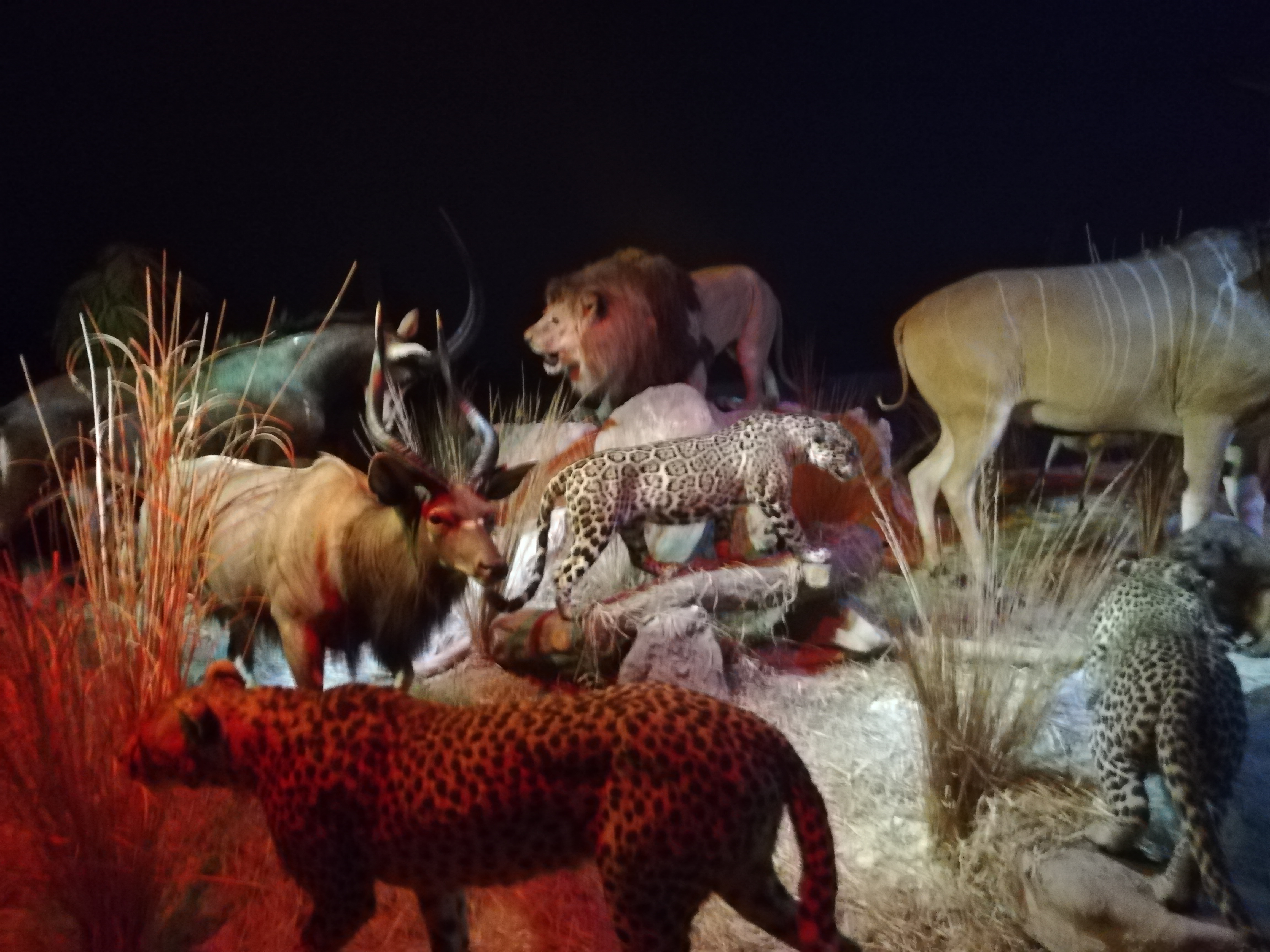 Photo n° 27 de l'avis de Soleil. fait le 20/08/2020 à 12:36