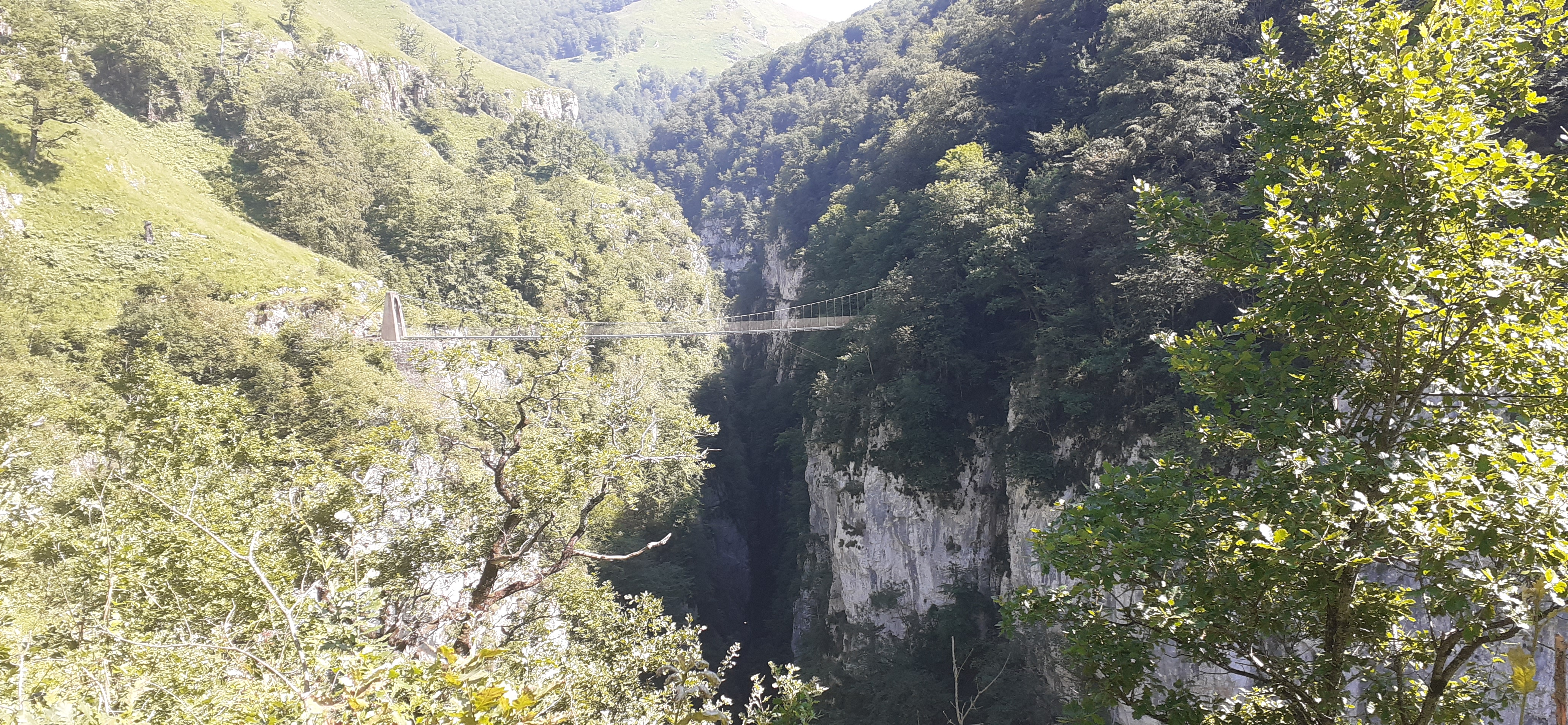 Photo n° 3 de l'avis de Antony.o fait le 19/08/2023 à 13:38
