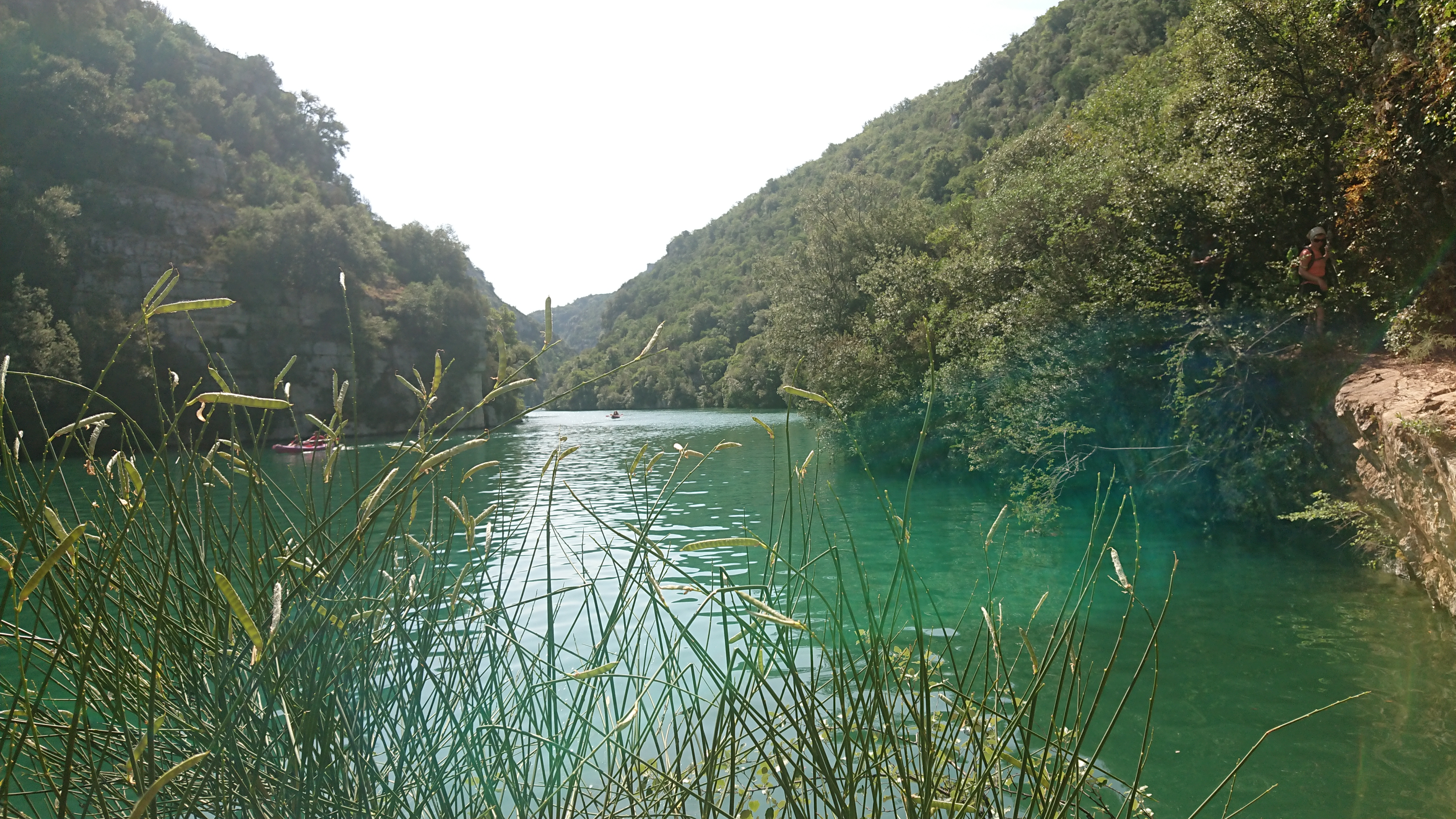 Photo n° 2 de l'avis de Alpha.a fait le 11/07/2019 à 10:42