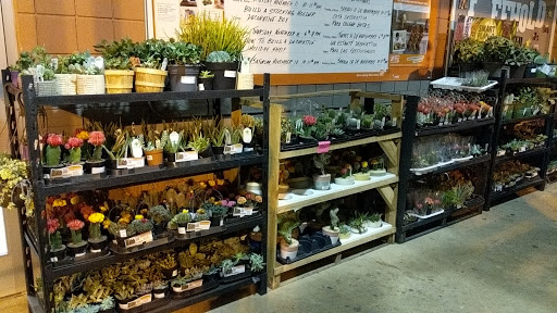 Home Improvement Store «The Home Depot», reviews and photos, 300 Trotters Way, Freehold, NJ 07728, USA