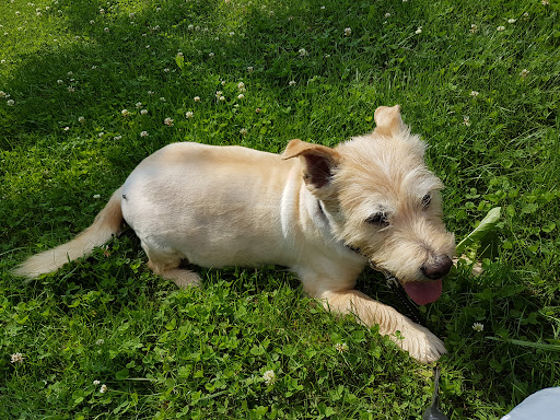 Kleintierpraxis Otterfing unter Otterfing, 