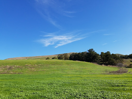 Used Car Dealer «Infinitude Auto Sales», reviews and photos, 28900 Mission Blvd, Hayward, CA 94544, USA