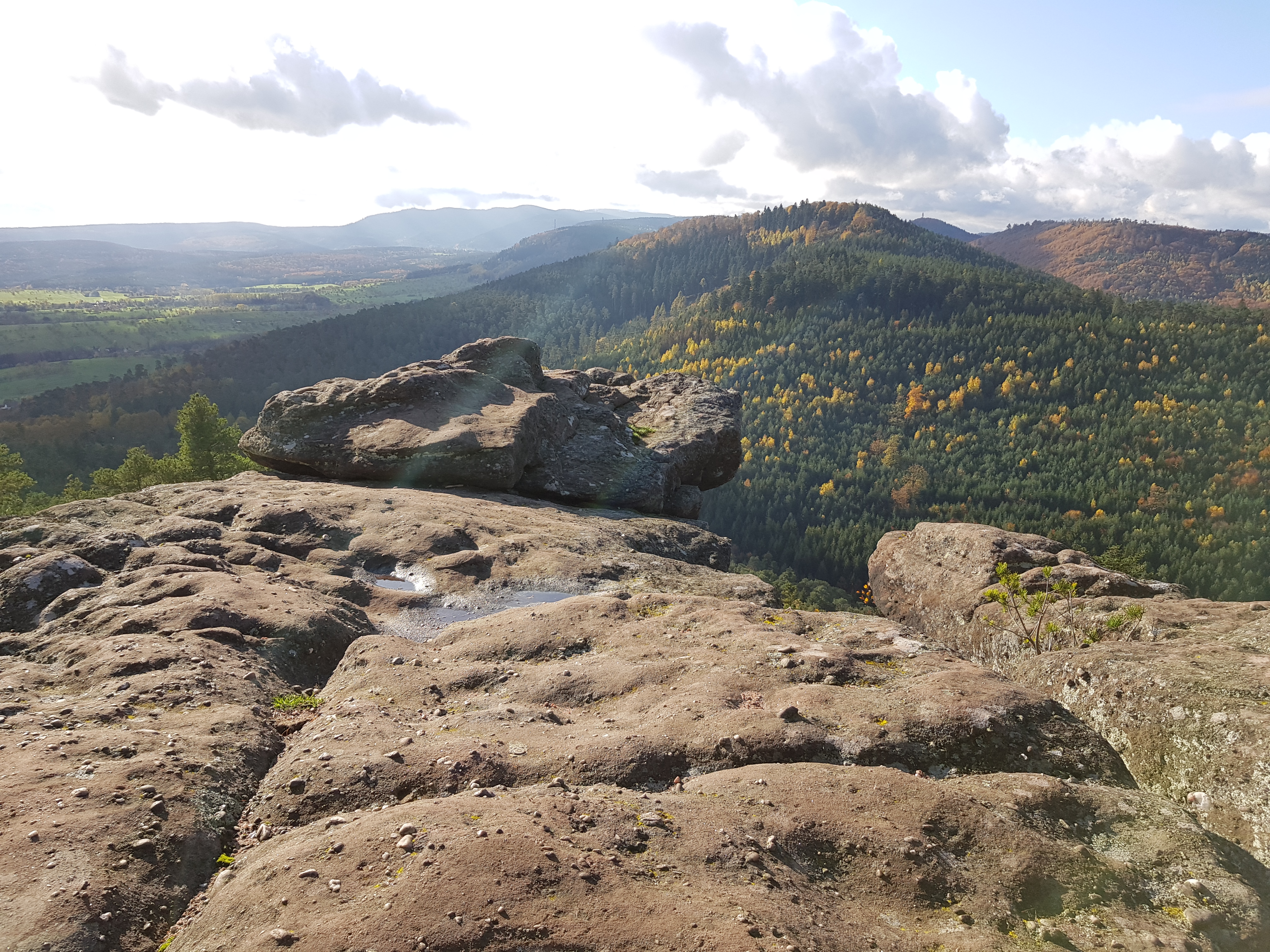 Photo n° 15 de l'avis de Roland.c fait le 09/11/2019 à 18:18
