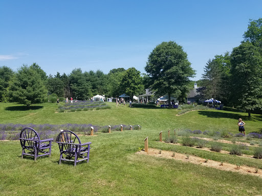 Farm «Blooming Hill Lavender Farm», reviews and photos, 19929 Telegraph Springs Rd, Purcellville, VA 20132, USA