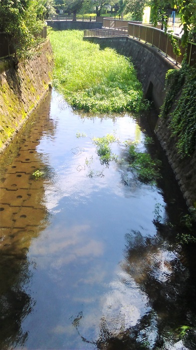 井頭橋