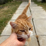 Photo n°2 de l'avis de Luiza.e fait le 19/07/2023 à 15:08 sur le  Agriturismo Casa Ricci à Magliano in Toscana