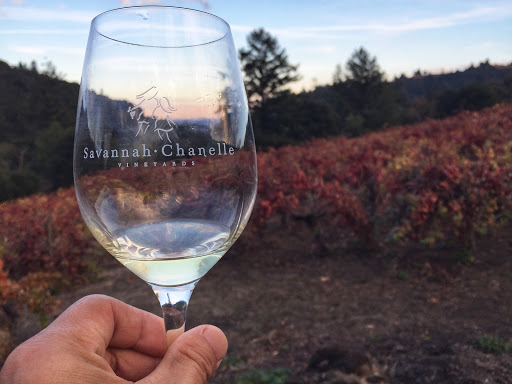 Vineyard «Savannah-Chanelle», reviews and photos, 23600 Big Basin Way, Saratoga, CA 95070, USA