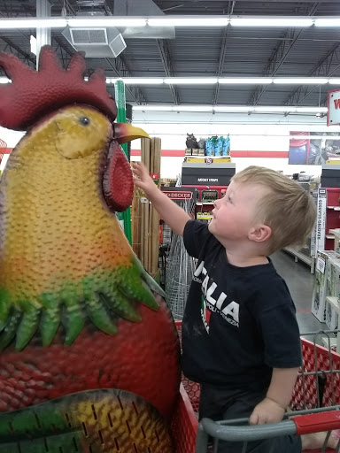 Home Improvement Store «Tractor Supply Co.», reviews and photos, 215 W 9th St, Douglas, AZ 85607, USA