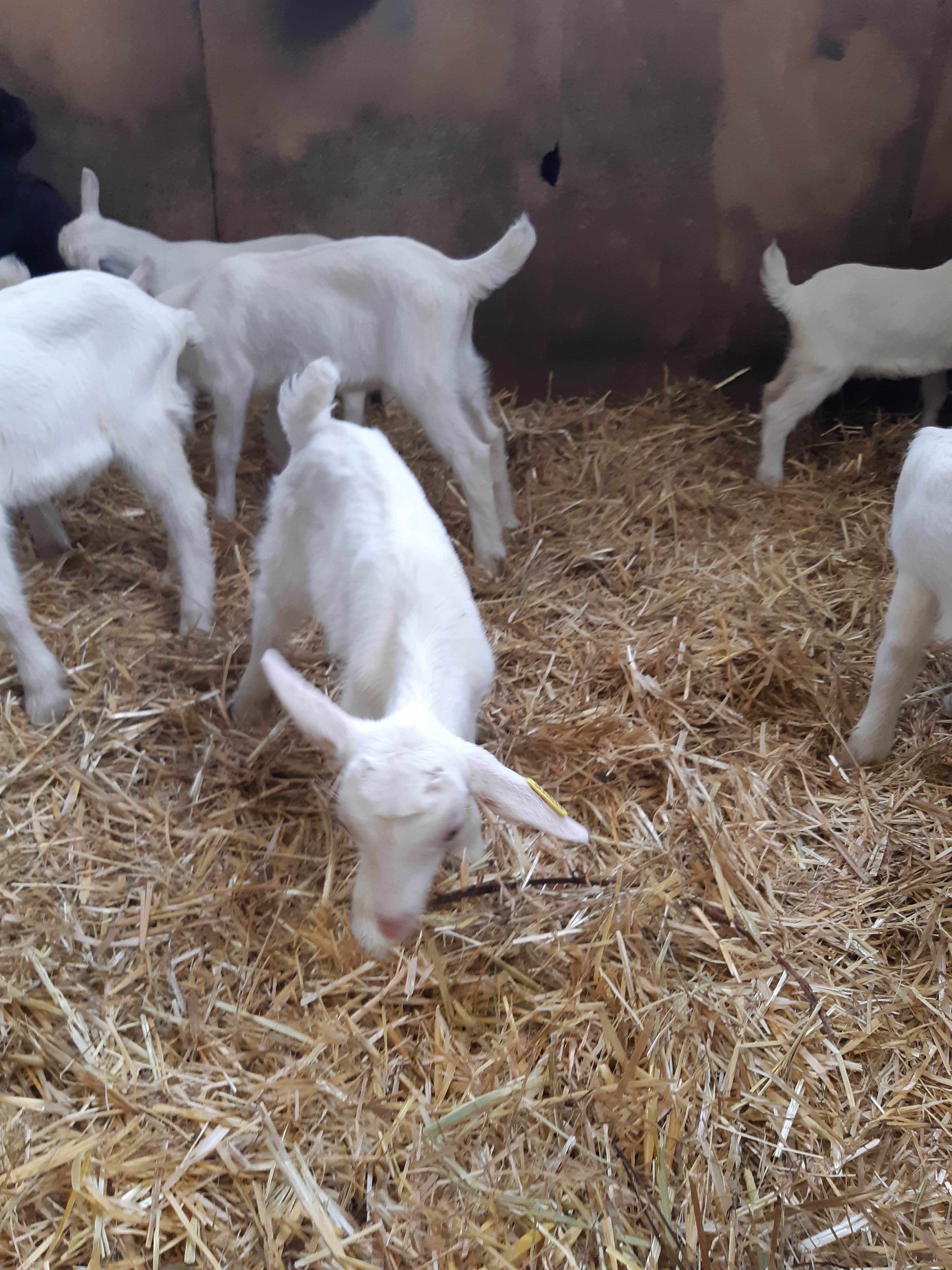 Photo n° 2 de l'avis de Laura. fait le 17/03/2019 à 08:22