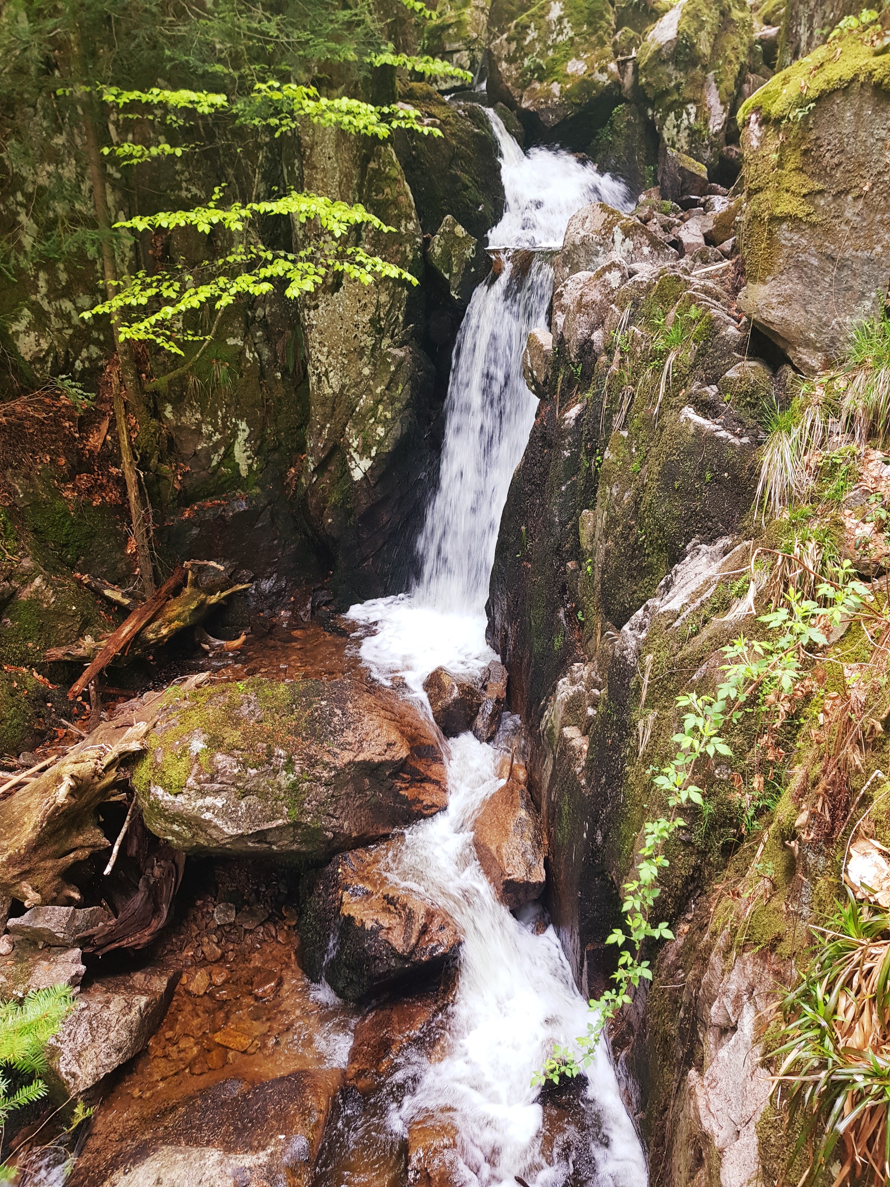 Photo n° 3 de l'avis de Delphine.A fait le 26/04/2018 à 05:39