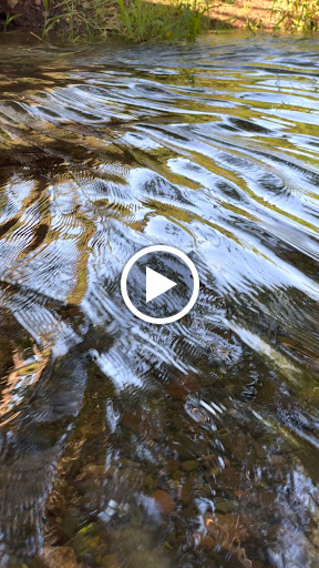 Park «Lynden City Park», reviews and photos