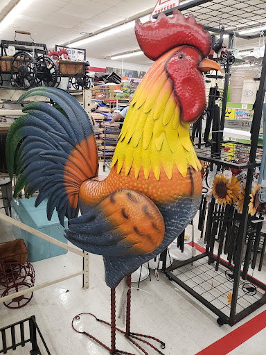 Home Improvement Store «Tractor Supply Co.», reviews and photos, 4267 13th St, St Cloud, FL 34769, USA