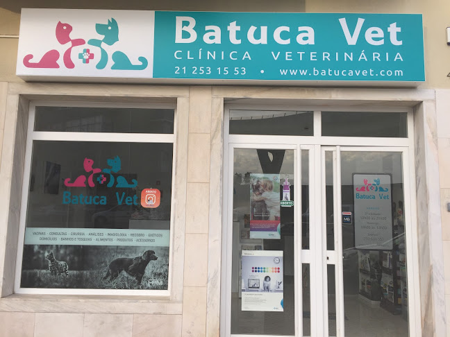 Avaliações doBatuca Vet em Seixal - Veterinário