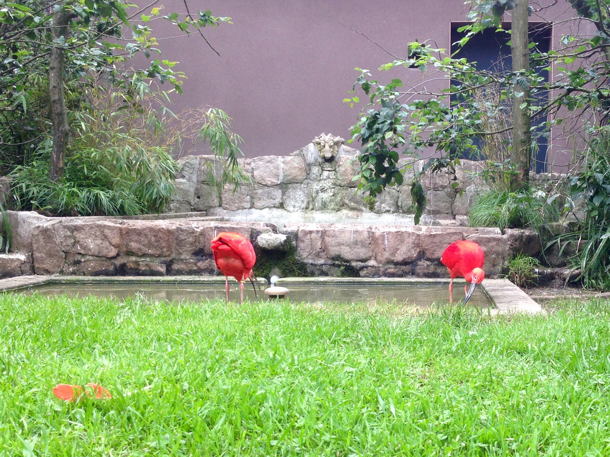 Photo n° 4 de l'avis de John.a fait le 10/06/2018 à 18:52