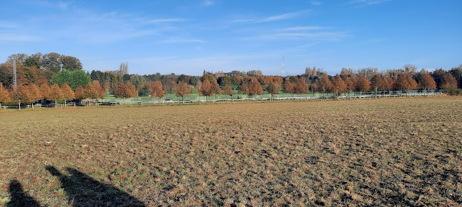 Beoordelingen van UCLouvain - Ferme de Lauzelle in Waver - Universiteit