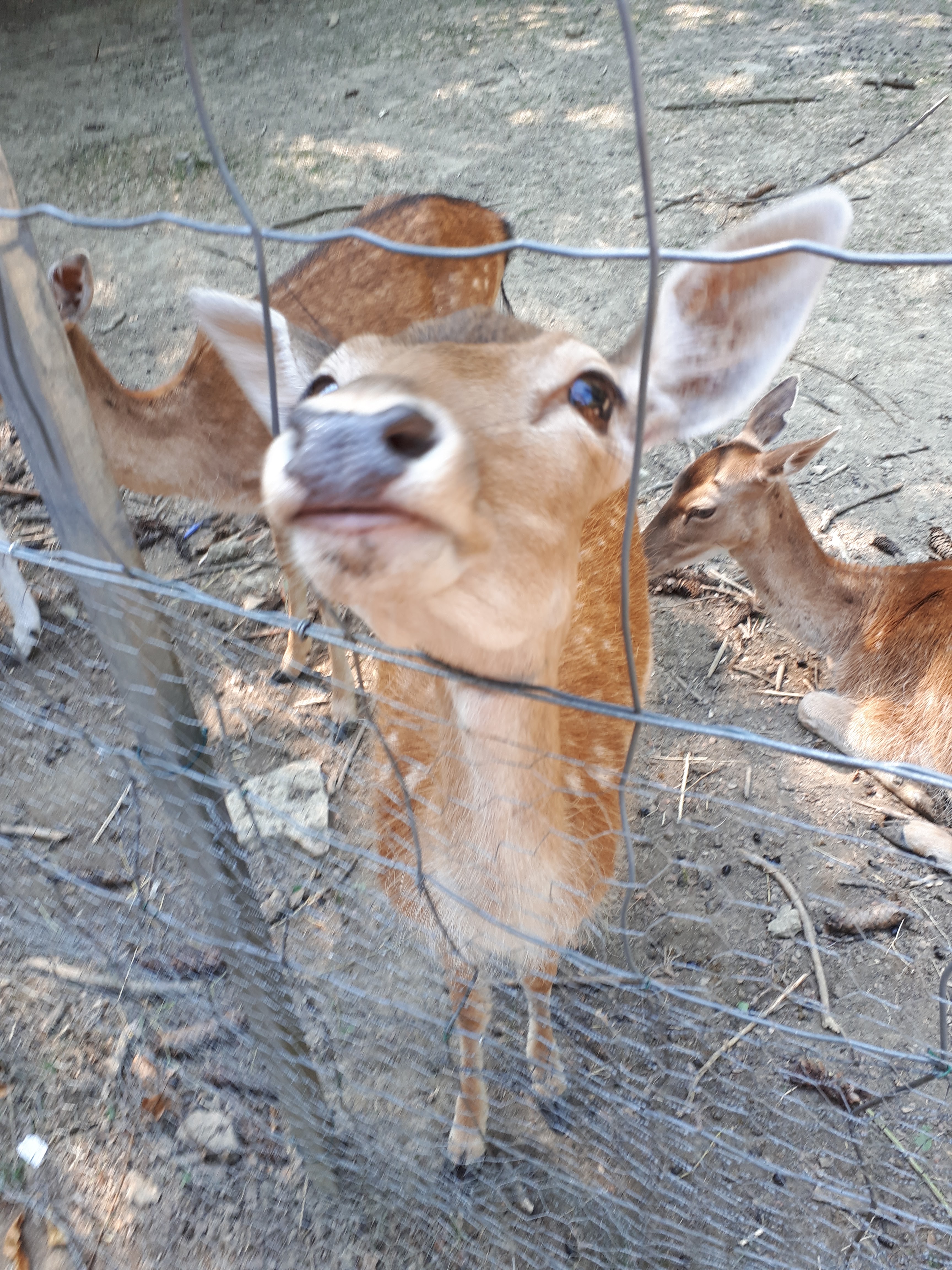 Photo n° 4 de l'avis de Annabelle.u fait le 15/07/2019 à 18:39