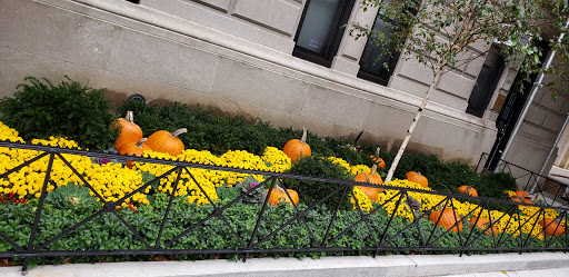 Museum «Museum of the City of New York», reviews and photos, 1220 5th Ave & 103rd St, New York, NY 10029, USA