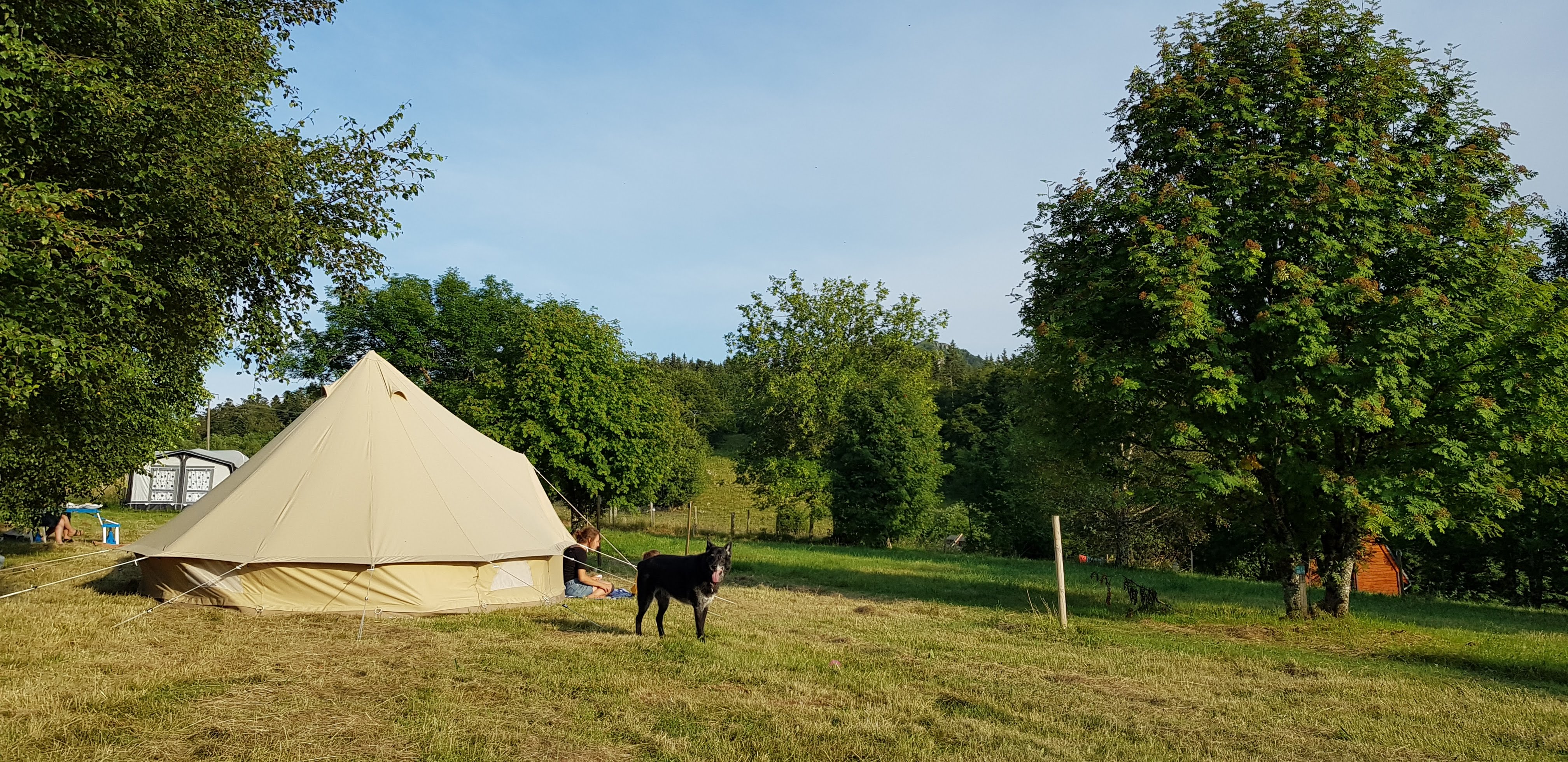 Photo n° 2 de l'avis de Tiflopin. fait le 31/07/2018 à 13:50