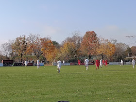 Freiburger Fußball-Club