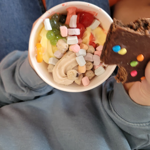 Frozen Yogurt Shop «Orange Leaf Frozen Yogurt», reviews and photos, 4866 1st Ave NE, Cedar Rapids, IA 52402, USA