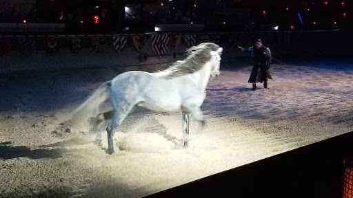 Dinner Theater «Medieval Times Dinner & Tournament», reviews and photos, 5900 Sugarloaf Pkwy #517, Lawrenceville, GA 30043, USA