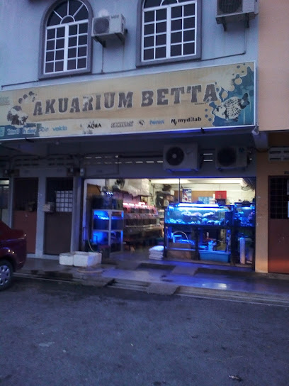 Betta Aquarium