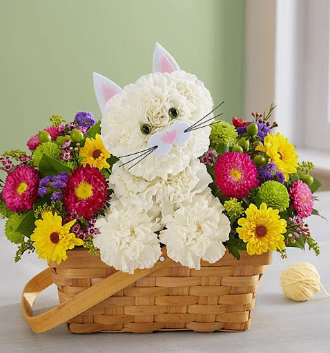 Florist «Heck Brothers Florist», reviews and photos, 902 Penn Ave, Wyomissing, PA 19610, USA