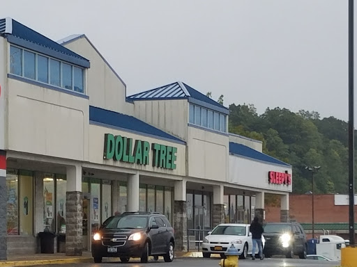 Dollar Store «Dollar Tree», reviews and photos, 597 Portion Rd, Ronkonkoma, NY 11779, USA