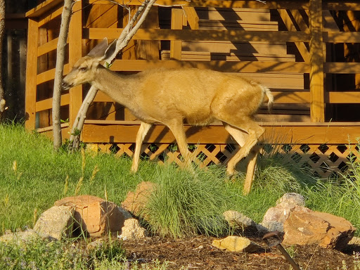 Golf Course «The Pinery Country Club», reviews and photos, 6900 N Pinery Pkwy, Parker, CO 80134, USA