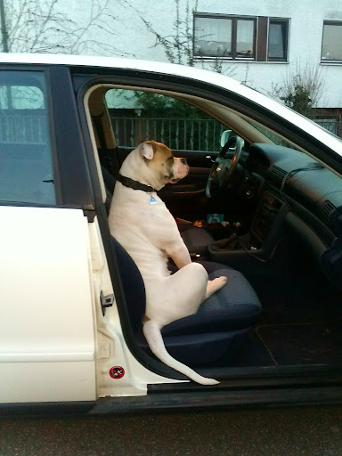 Kleintierzentrum Neckar-Odenwald unter Osterburken, 