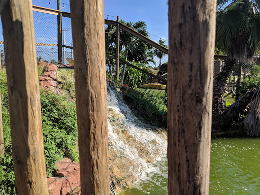Miniature Golf Course «Golf N Gator», reviews and photos, 6355 N Atlantic Ave, Cape Canaveral, FL 32920, USA