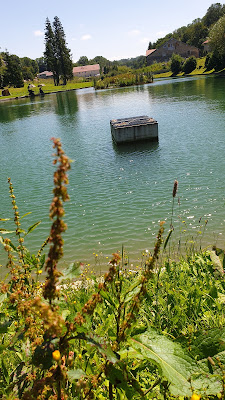 Etang de la Lieze à Valdahon