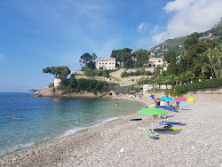 Plage du Buse'in fotoğrafı imkanlar alanı