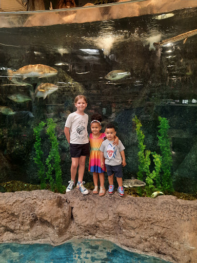 Sporting Goods Store «Bass Pro Shops», reviews and photos, 750 Bass Pro Dr NE, Palm Bay, FL 32905, USA