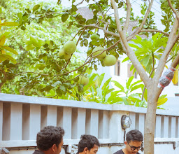 Zoe Coffee photo