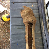 Compass Plumbing & Drain Services - Photo 4 - Car repair in , Tacoma