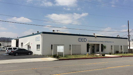 CED Industry