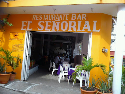 Señorial - Calle 32 S/N, San Miguelito, 86901 Tenosique, Tab., Mexico