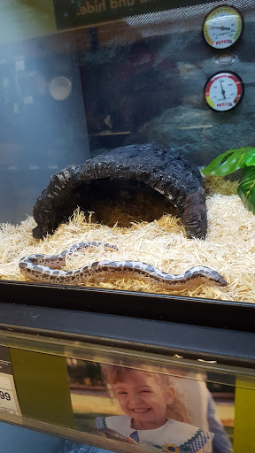 Pet Supply Store «Petco Animal Supplies», reviews and photos, 35860 Chester Rd, Avon, OH 44011, USA