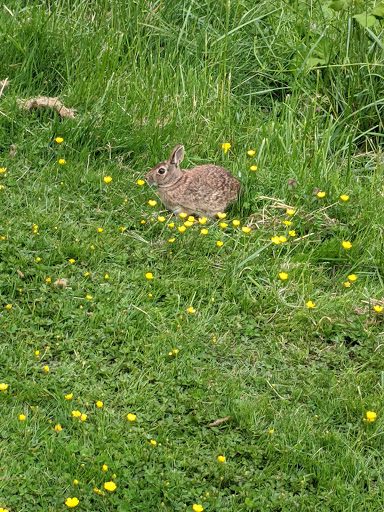 Park «Foster Memorial Park», reviews and photos, 13919 53rd Ave S, Tukwila, WA 98168, USA